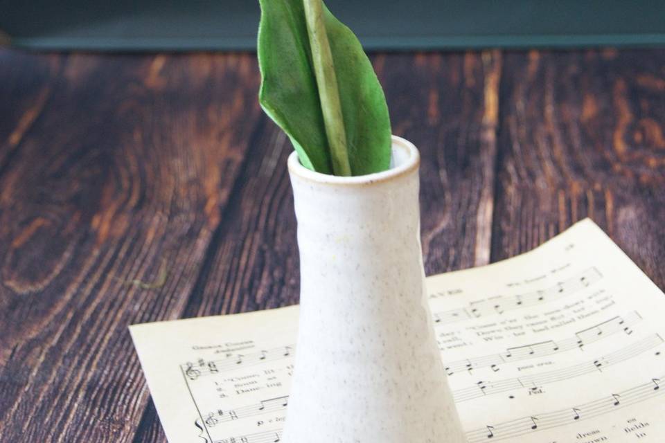 Cala lily