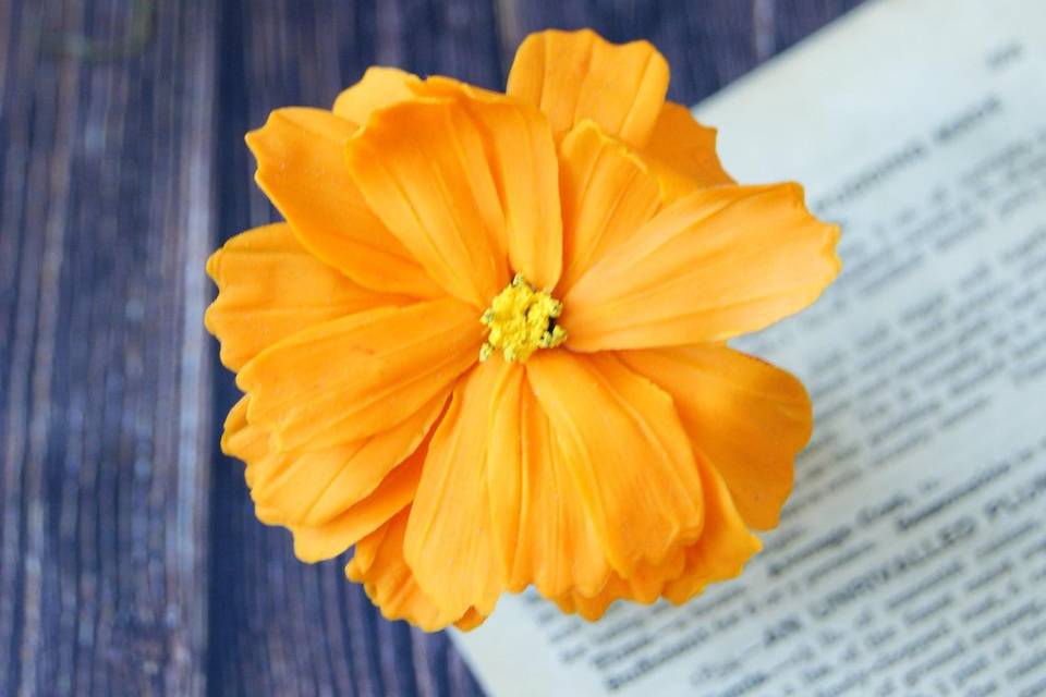 Cosmos
