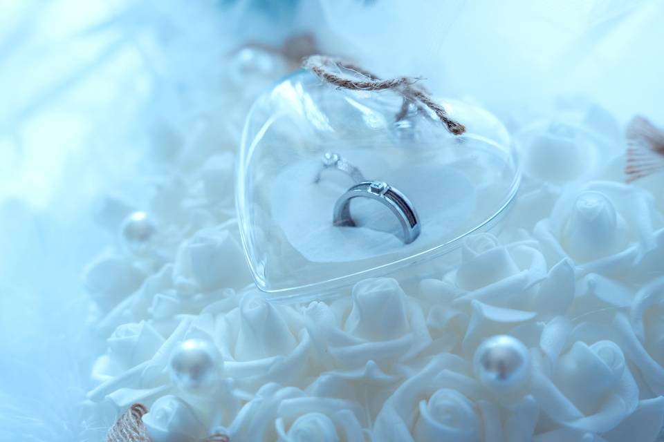 Ophélie & Anthony 08