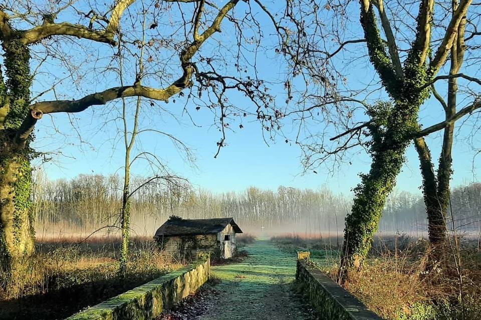 Pont de la peupleraie