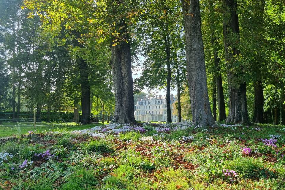 Le parc du Domaine